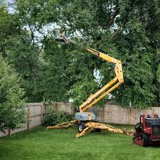 Lawn Pest Prevention in Franklin Grove, IL